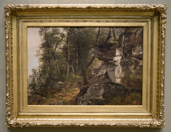 Trees on a Rocky Hillside, c. 1849. Creator: Asher Brown Durand (American, 1796-1886).