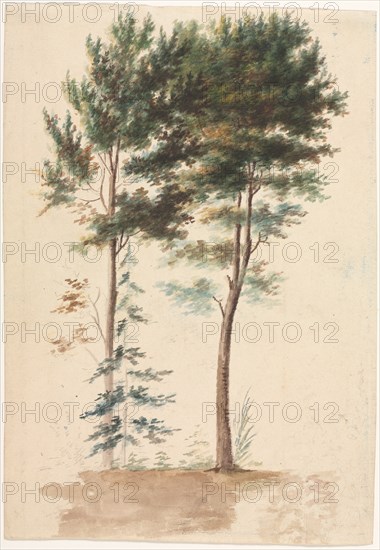 Trees, 1700s(?). Creator: Jean Baptiste Pillement (French, 1728-1808).