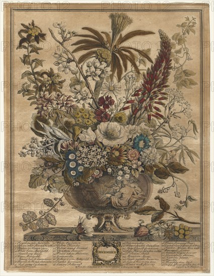 Twelve Months of Flowers: December, 1730. Creator: Henry Fletcher (British, active 1715-38).