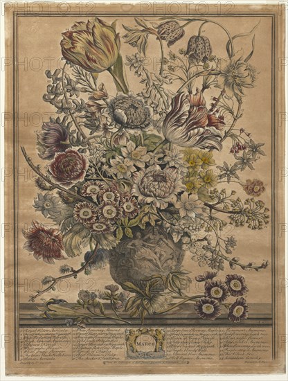 Twelve Months of Flowers: March, 1730. Creator: Henry Fletcher (British, active 1715-38).