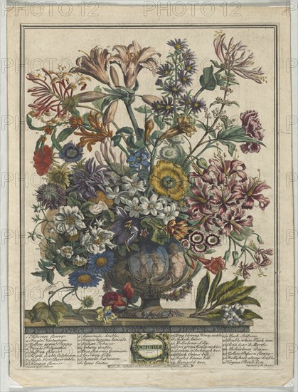 Twelve Months of Flowers: October, 1730. Creator: Henry Fletcher (British, active 1715-38).