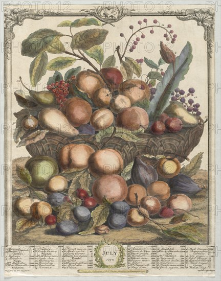 Twelve Months of Fruit: July, 1732. Creator: Henry Fletcher (British, active 1715-38).