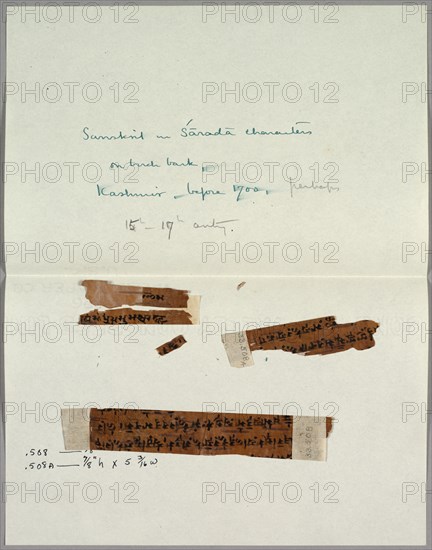 Two Fragments of Bark with Sanskrit, before 1700. Creator: Unknown.