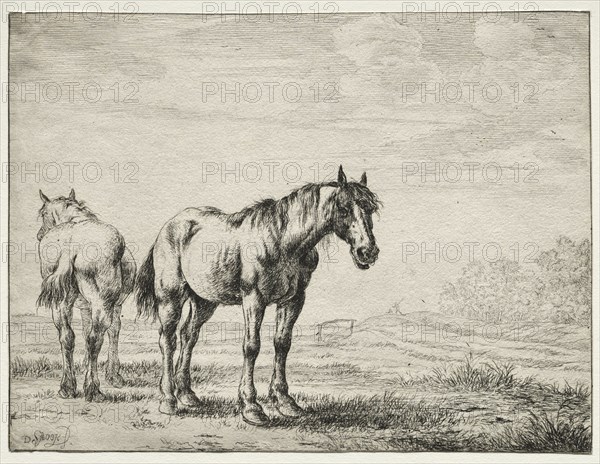 Two plough horses. Creator: Dirck Stoop (Dutch, c. 1618-1681).