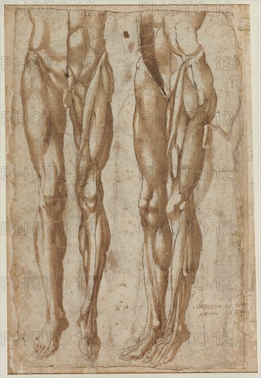 Two Studies of a Flayed Man, 1554. Creator: Bartolommeo da Arezzo (Italian, 1578).