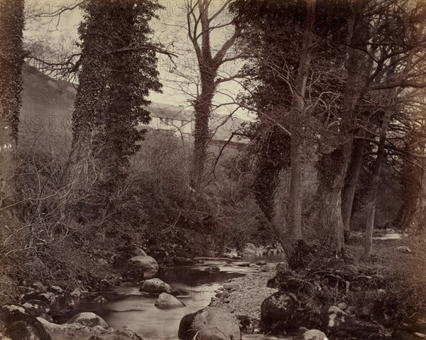 Untitled, c. 1859. Creator: John Lloyd (British, 1865).