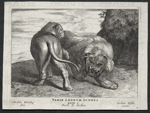 Various Lions. Creator: Abraham Blooteling (Dutch, 1640-1690).