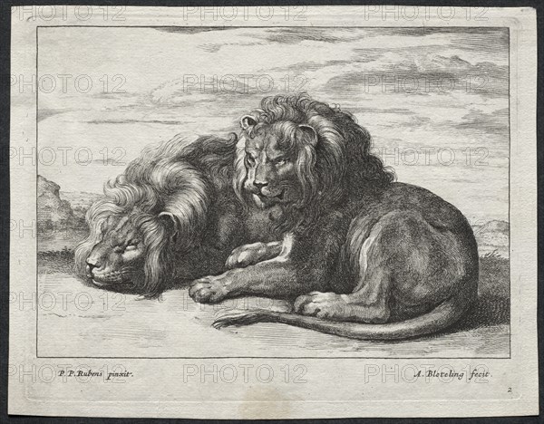 Various Lions. Creator: Abraham Blooteling (Dutch, 1640-1690).