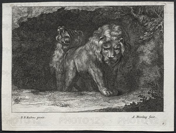 Various Lions. Creator: Abraham Blooteling (Dutch, 1640-1690).