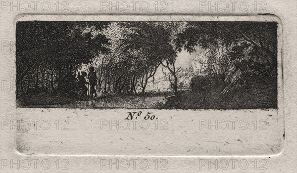 View of a Woods. Creator: Antoine de Marcenay de Ghuy (French, 1724-1811).