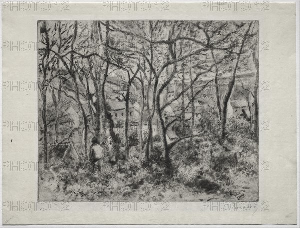 Wooded Landscape at LHermitage, Pontoise, 1879. Creator: Camille Pissarro (French, 1830-1903).