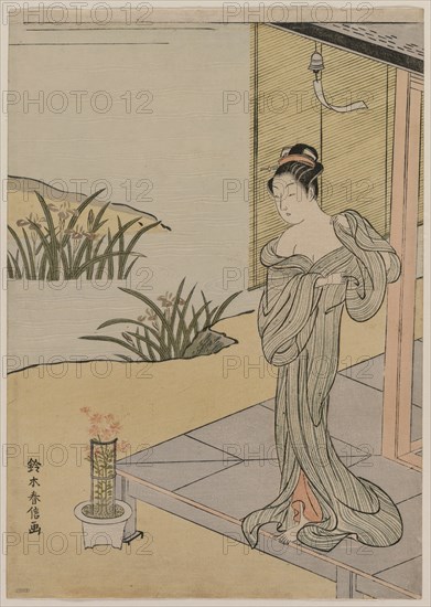 Young Woman Looking at a Pot of Pinks, c. 1767. Creator: Suzuki Harunobu (Japanese, 1724-1770).