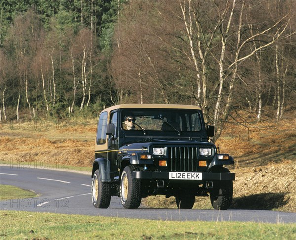 1994 Jeep Wrangler Limited. Creator: Unknown.