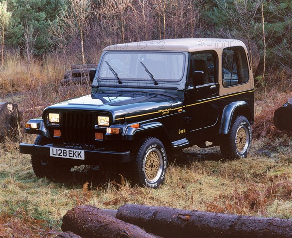 1994 Jeep Wrangler Limited. Creator: Unknown.