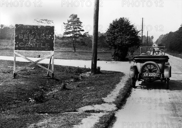 Road sign in New Forest, UK 1924. Creator: Unknown.