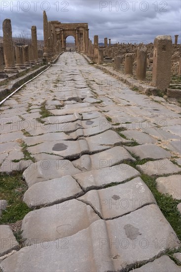 Algeria, Timgad, Cardo with cart tracks