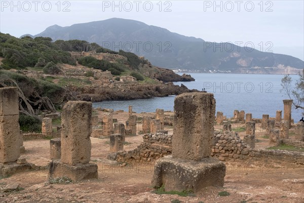 Algeria, Tipasa, Cardo