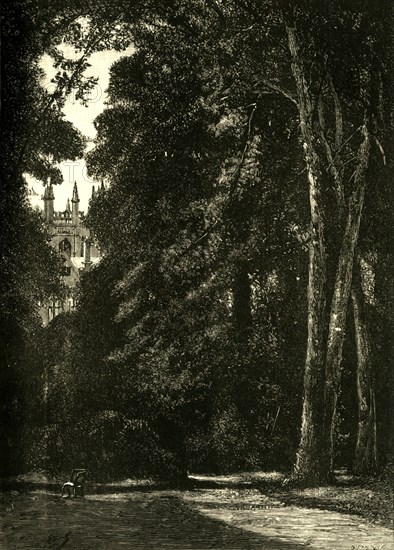 'The Tower of Merton, from the Garden', 1898. Creator: Unknown.