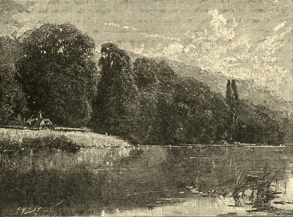 'Cliefden Woods', 1898. Creator: Unknown.