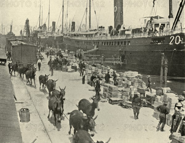 Troopships at Port Tampa, Florida, USA, Spanish-American War, 10 June 1898, (1899).  Creator: Burr McIntosh.