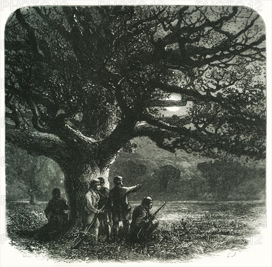 'The Watch Oak', c1870.