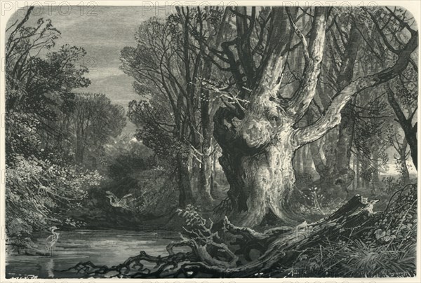 'Near Lymington, in the New Forest', c1870.