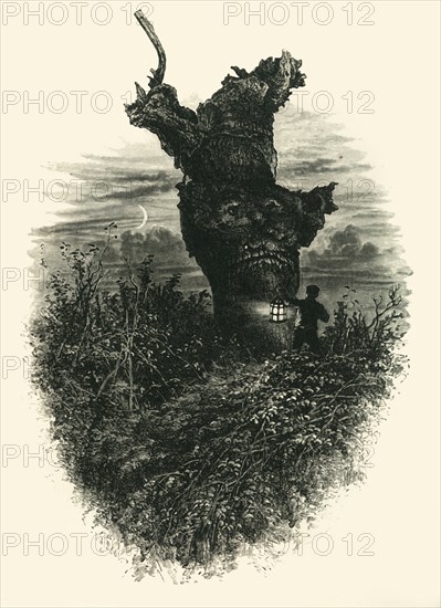 'The Monkey Tree. Burnham Beeches', c1870.