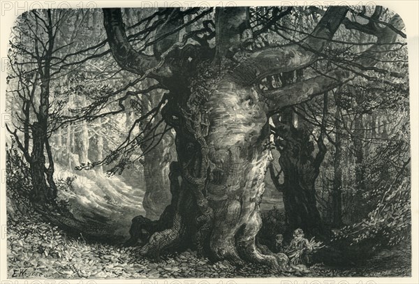 'Burnham Beeches', c1870.