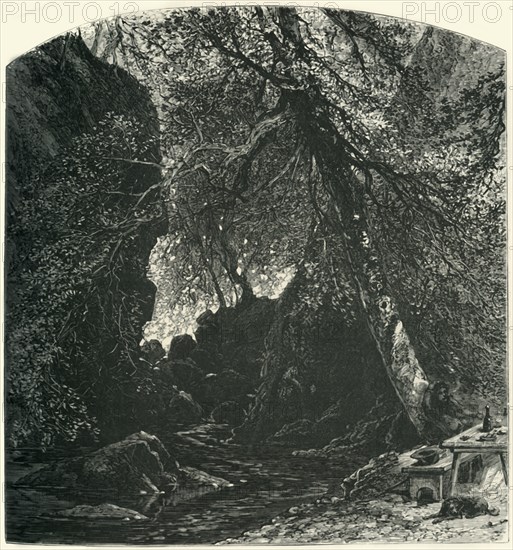 'The Dargle', c1870.