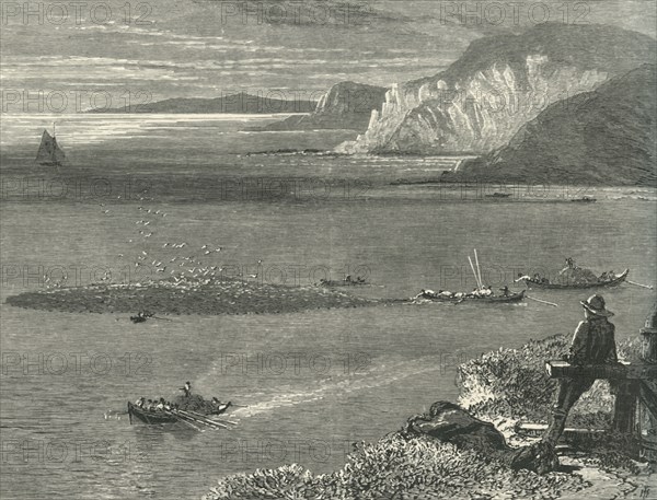 'Pilchard Fishing off the Lizard', c1870.