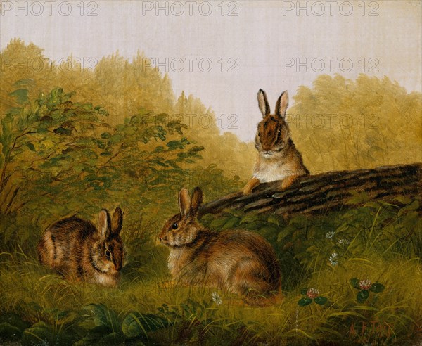 Rabbits on a Log, 1897. Creator: Arthur Fitzwilliam Tait.