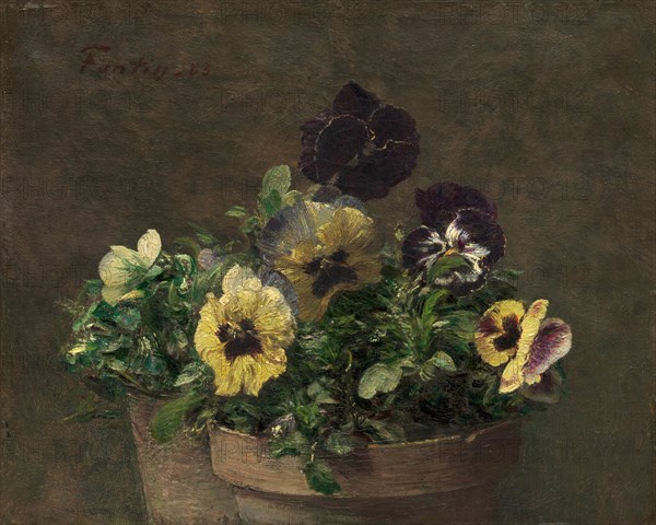 Potted Pansies, 1883. Creator: Henri Fantin-Latour.