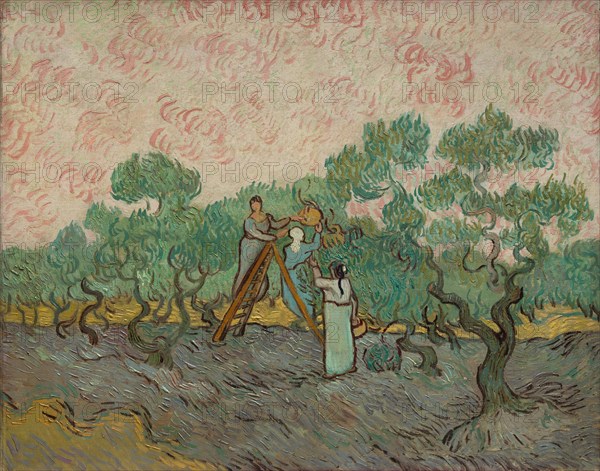 Women Picking Olives, 1889. Creator: Vincent van Gogh.