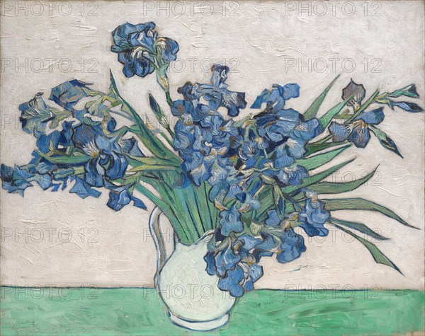Irises, 1890. Creator: Vincent van Gogh.