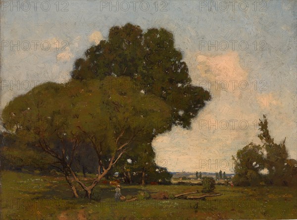 The Trees, Early Afternoon, France, ca. 1905. Creator: William A. Harper.