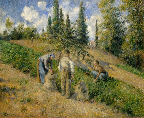 The Harvest, Pontoise (La Récolte, Pontoise), 1881. Creator: Camille Pissarro.