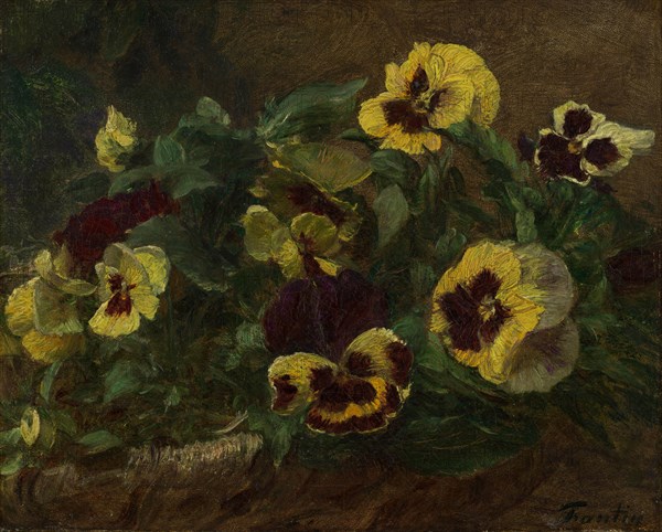 Pansies, 1903. Creator: Henri Fantin-Latour.