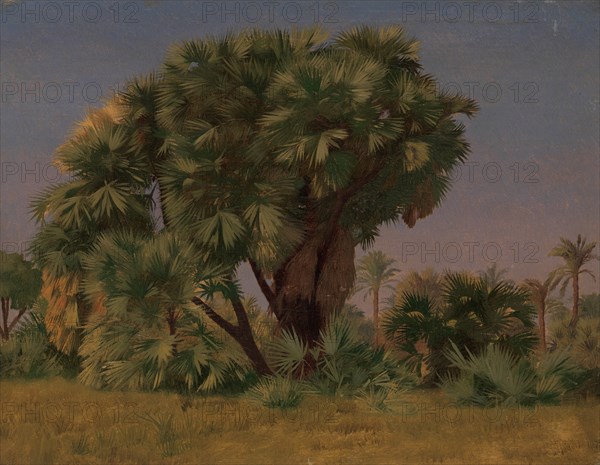 Study of Palm Trees, probably 1868. Creator: Jean-Leon Gerome.
