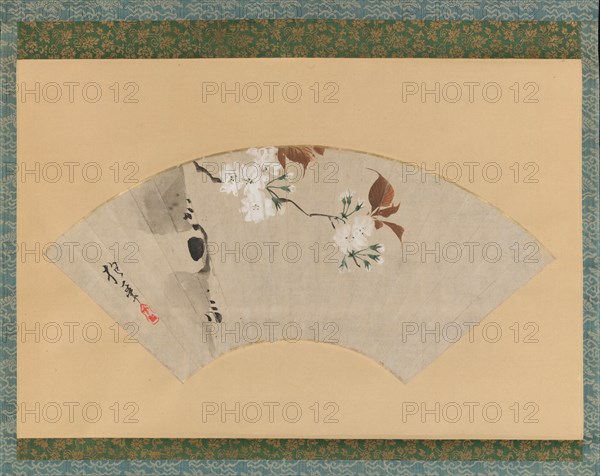 Cherry Blossoms, 18th century. Creator: Sakai Hoitsu.