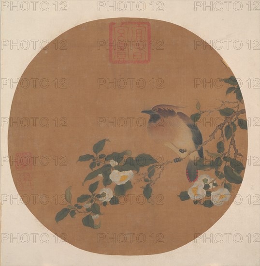 Branch of Tree with Flowers and Bird of Waxwing Family. Creator: Unknown.