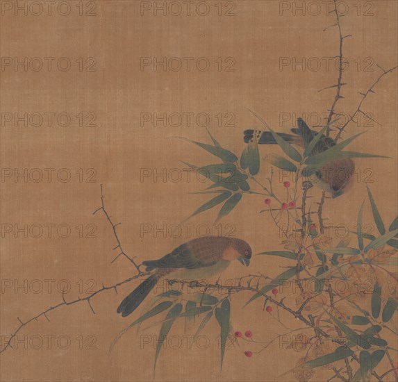 Bamboo Branch with Berries and Birds, 17th century. Creator: Unknown.