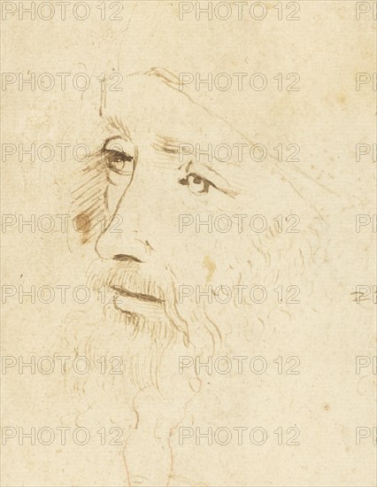 Portrait of Leonardo da Vinci, ca 1518. Creator: Leonardo da Vinci, (Circle of) .