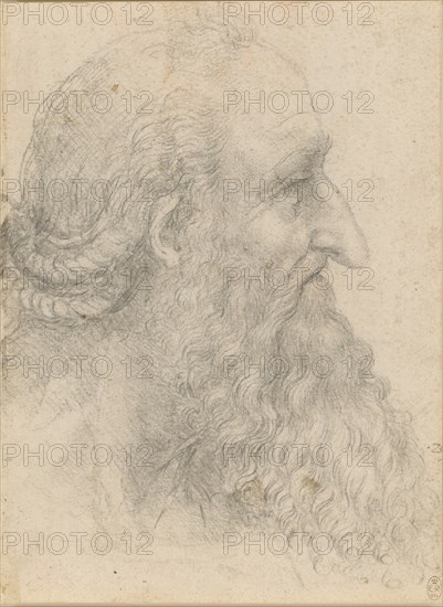 The head of an old bearded man , ca 1517. Creator: Leonardo da Vinci (1452-1519).