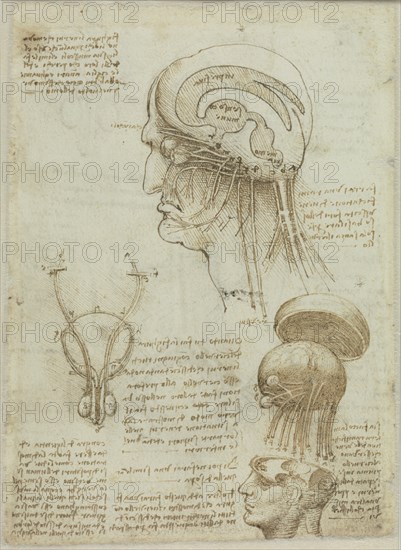 A manuscrit sheet with anatomical drawings and notes, 1506-1508. Creator: Leonardo da Vinci (1452-1519).