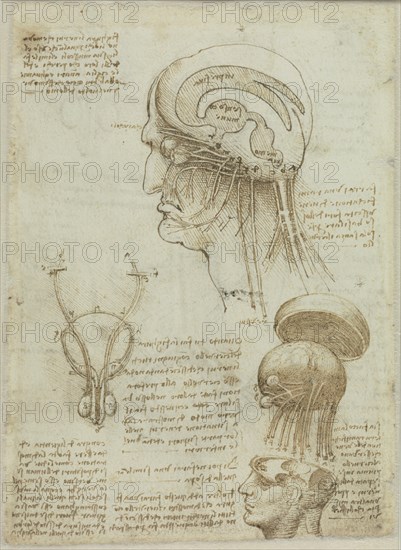 A manuscript sheet with anatomical drawings and notes, 1506-1508. Creator: Leonardo da Vinci (1452-1519).