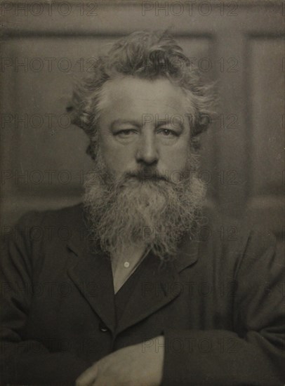 Portrait of William Morris (1834-1896), c. 1886. Creator: Anonymous.