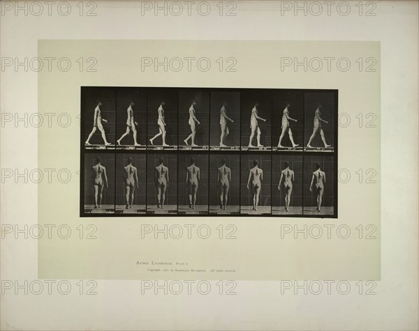 Animal locomotion: males (pelvis cloth), 1887. Creator: Muybridge, Eadweard (1830-1904).