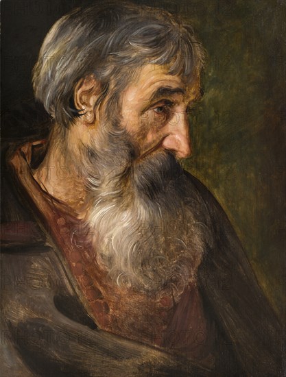 The head of an old bearded man. Creator: Vos, Maerten, de (1532-1603).