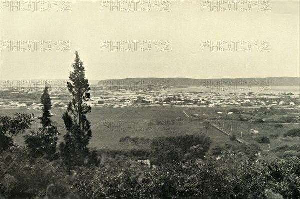 'Durban, Natal', 1901. Creator: Wilson.