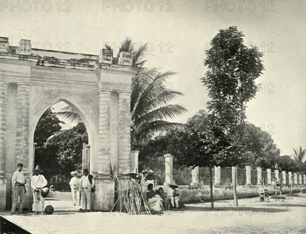 'A Public Garden in Tropical Mexico: View at Colima', 1919. Creator: Unknown.